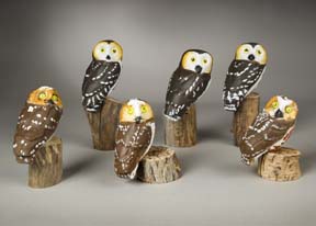 Owls